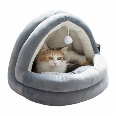 Thoải mái làm dịu con chó ced