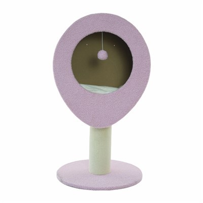 Cây mèo cao có giường